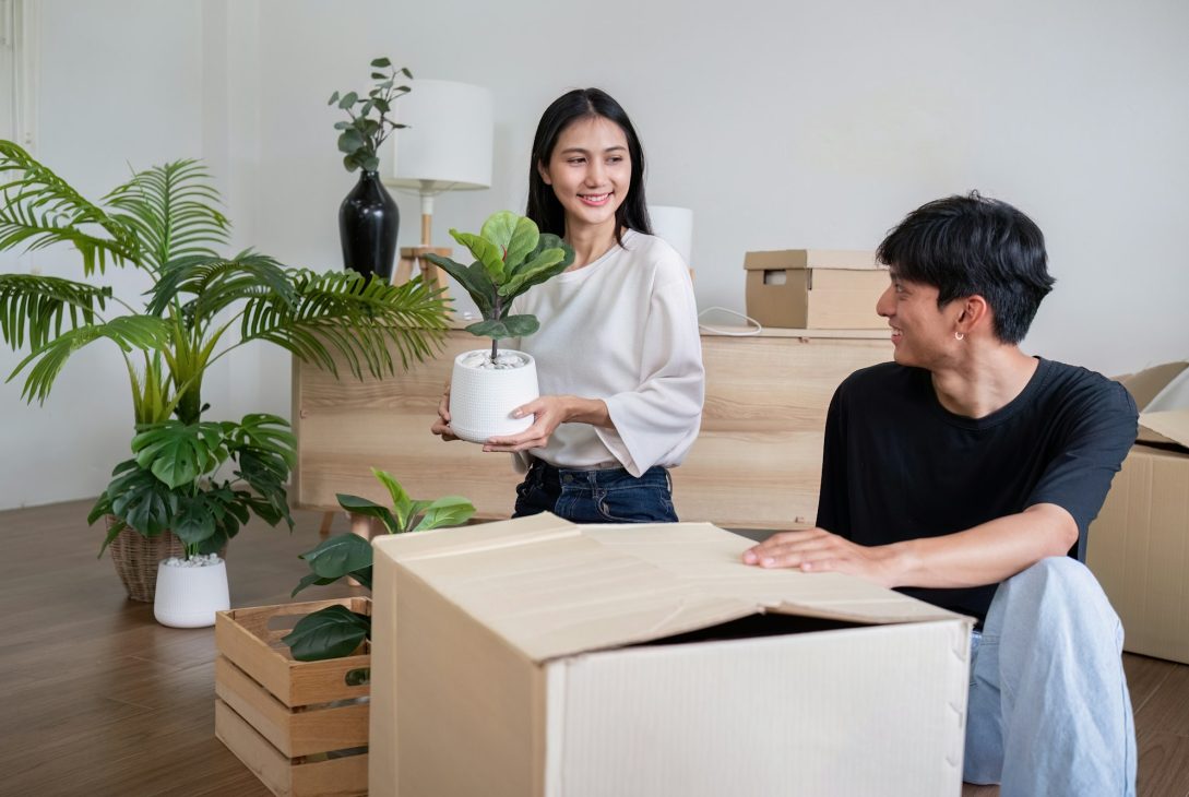 Les meilleures solutions pour déménager vos plantes